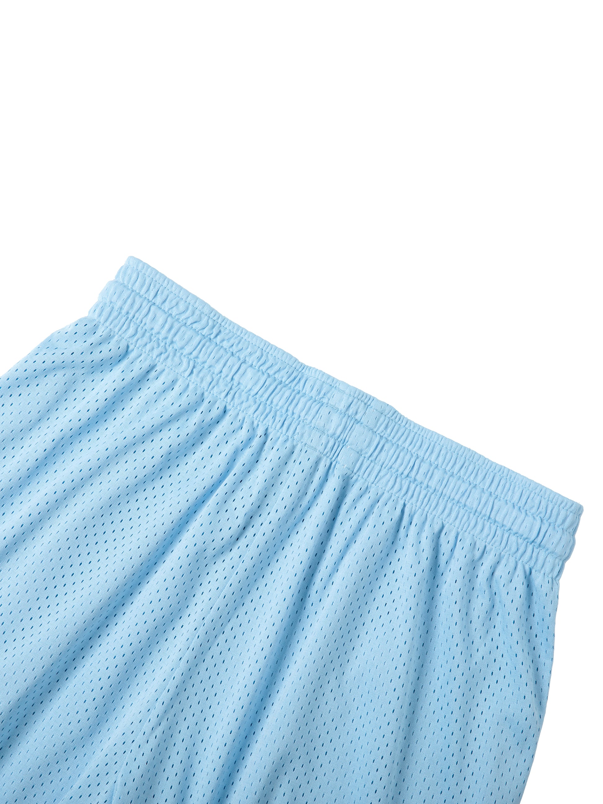 Mesh Drawstring Gym Shorts